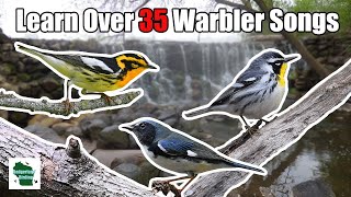 Learn 35 Warblers Songs Central and Eastern United States [upl. by Othelia]