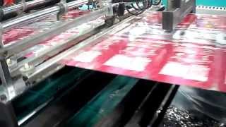 Thomson die cutting machine [upl. by Ynoffit]