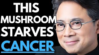 4 Mushrooms That Kill Cancer and Boost Immune System Dr William Li [upl. by Erialc495]