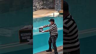 O mímico Tom inventando um novo local para os lugares reservados 😂🤣 tomthemime seaworldmime [upl. by Wolsky]