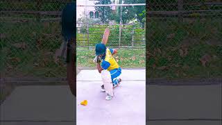 How To Play Reverse Sweep Shot  Reverse Sweep Shot Kaise Khele cricket viral shorts shortvideo [upl. by Annavoj560]