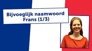 BIJVOEGLIJK NAAMWOORD FRANS  uitleg door docent 13 [upl. by Orpheus]