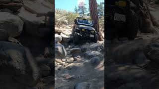 Jeep Wrangler YJ John Bull Big Bear [upl. by Bathsheeb]