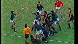 Four 1986 Springbok Tries [upl. by Fattal330]