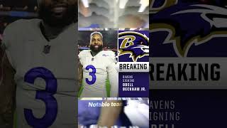 OBJ to the RAVENS 🥶 [upl. by Akenor447]