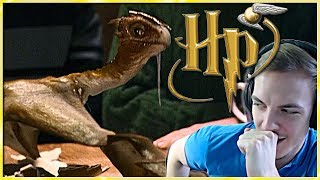 HALLO NORBERTH ⚡ Harry Potter ⚡ und der Stein der Weisen 12 Nuzlocke [upl. by Aihseket]