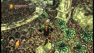 Lets Play Dark Souls 2  S9  The Shaded Woods [upl. by Yttik154]