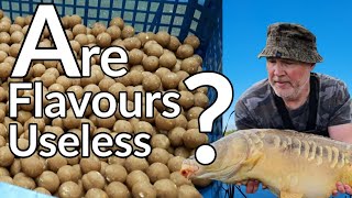 Making simple but nutritious naturally flavoured boilies [upl. by Tarton741]