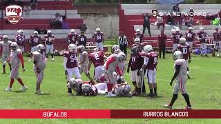 VFA Gold Bowl 2024 Sem 2 Búfalos vs Burros Blancos [upl. by Jaqitsch786]