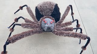 Crazy Giant Spider Prank [upl. by Cirdor]