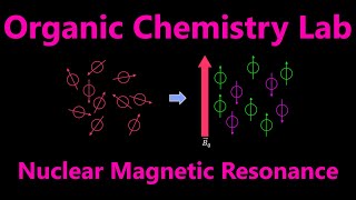 Proton Nuclear Magnetic Resonance ¹HNMR  Organic Chemistry Lab Techniques [upl. by Nee]