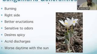 Sanguinaria Canadensis Homeopathic Medicine Tips For Beginners [upl. by Ackley]