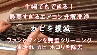 主婦が実践！エアコンの分解洗浄完全ガイド ファンやフィンのカビや汚れを業者レベルで完全クリーニングする方法 DIY 三菱 霧ヶ峰 [upl. by Suixela]