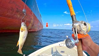 Fishing a LIVE CROAKER under this FREIGHTER Ship in the GULF of MEXICO [upl. by Wendell561]