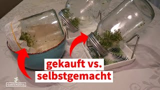 DIY Sprossenglas vs gekauft  Funktioniert ein DIY Sprossenglas genauso gut wie eine gekauftes [upl. by Einuj]