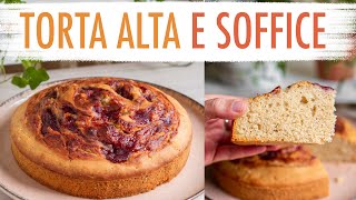 TORTA PER LA COLAZIONE IN 5 MINUTI ALTA E SOFFICE SENZA UOVA e SENZA BURRO  Elefanteveg [upl. by Walcott36]