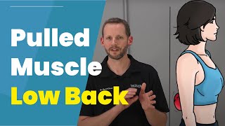 Pulled Muscle In Low Back 3 DIY Treatments [upl. by Isiah]