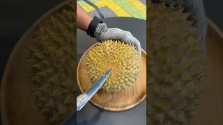 DURIAN 950000 durian musangking masduren [upl. by Halak212]