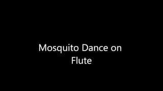 Mosquito Dance on Flute [upl. by Gamin]