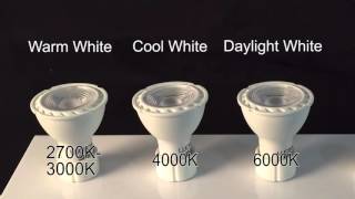 LED GU10 Light Bulbs [upl. by Jimmie]