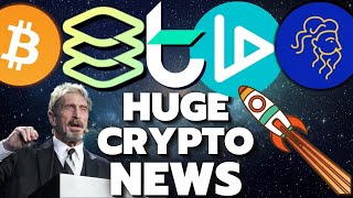 John McAfee and THE SEC FUSE Network Plutus DEX TomoChain VIDT Datalink Kucoin hack [upl. by Yanahc]