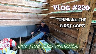 Chinking the first gaps Vlog 220  S5 [upl. by Dilaw]