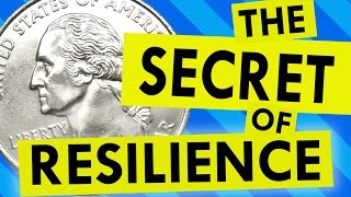 How to Build Resilience Quarters of Encouragement [upl. by Runstadler]