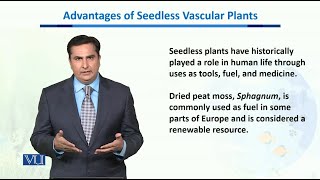 Advantages of seedless vascular Plants  Biodiversity amp EvolutionII  BT201Topic115 [upl. by Ekud]