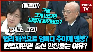 헌법재판관 출신 인권위원장 법리적 해석으로 덤볐다가 본전도 못찾은 법무부 장관 출신 추미애 [upl. by Moshe]