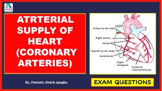 Arterial supply of heart  Coronary arteries  Blood supply of heart Simplest [upl. by Mirielle773]