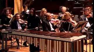 koppels marimba concerto [upl. by Gerson112]