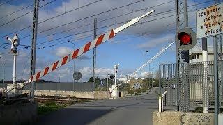 Spoorwegovergang Rutigliano I  Railroad crossing  Passaggio a livello [upl. by Theurer269]