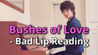 Bushes of Love  Bad Lip Reading cover [upl. by Queridas916]