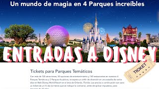 COMO CRIAR GRUPOS NO MY DISNEY EXPERIENCE  TUTORIAL  VPD ORLANDO [upl. by Neyugn]