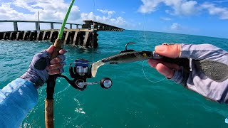 Seven Miles Of Fishing Paradise Epi 2  The Florida Keys [upl. by Akimik]