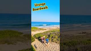 1km long Boardwalk in australia Urunga coastal adventure explore [upl. by Tatianas]