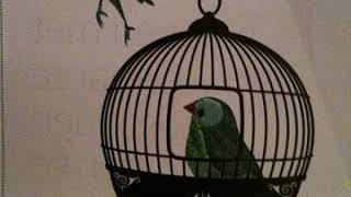 L oiseau en cage [upl. by Harlie]