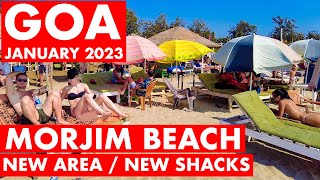 Morjim Beach  January 2023  Goa Vlog  North Goa  Famous Russian Beach  Shacks amp Prices [upl. by Airrotal386]