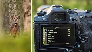 OM System EM1X Settings  5 Tips for Wildlife Photography Olympus [upl. by Esau]