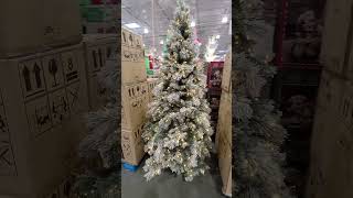 watch  Christmas Trees at Costco Video  For a YouTube Holiday  Fun Entertainment [upl. by Llerrot354]