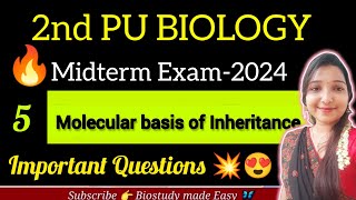 Molecular Basis of Inheritance2 PU BIOLOGY EXAM2024 IMPORTANT QUESTION biostudymadeeasy​ [upl. by Dyane]