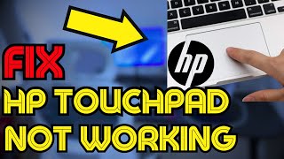 Fix HP Touchpad Not Working in Windows 11  How To Solve HP Laptop Touchpad Issues [upl. by Verna285]