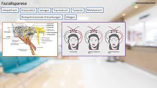 Fazialparese Ursachen Symptome Diagnostik und Therapie [upl. by Berfield]