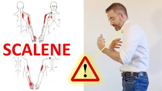 Stretch Your Neck Scalenes Muscles  Scalene Muscle Release [upl. by London627]