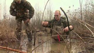 Nuisance beavers and how to control their population [upl. by Enatan905]