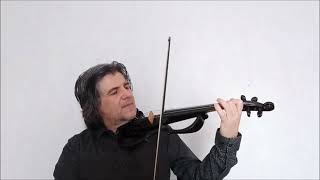 SINCERAMENTE ANNALISA Sanremo 2024 violino elettrico Danilo Mascali [upl. by Ai]