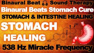 STOMACH  Intestine amp Digestion Cure  Stomach Pain Relief  Healing Music  Abdomen Pain Relief [upl. by Sanson]