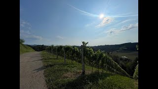 Einzigartige Landwirtschaft amp Weingärten in Alleinlage  Leutschach an der Weinstraße [upl. by Zeret]