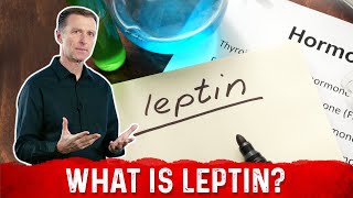 What is Leptin Explained By DrBerg [upl. by Nahsez]