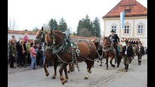 03112024  Leonhardifahrt  Benediktbeuern  Bayern  Reisen Deutschland DE [upl. by Armillas]